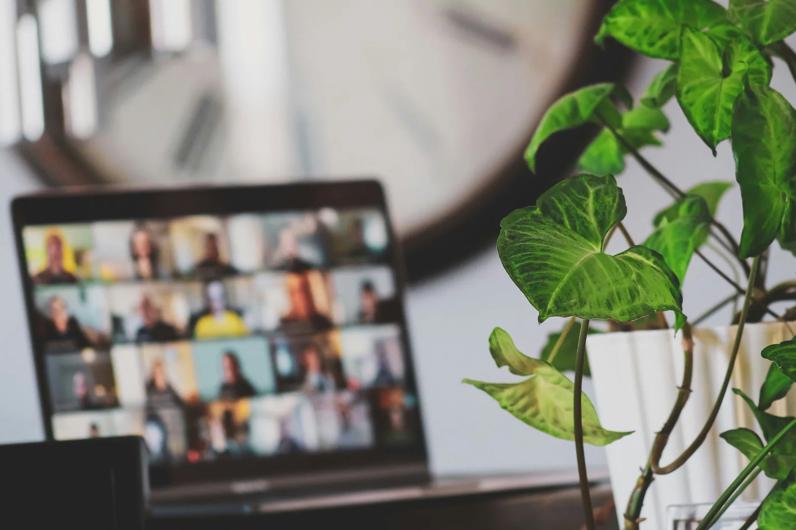 Laptop showing a blurred video-call grid beside a green houseplant.