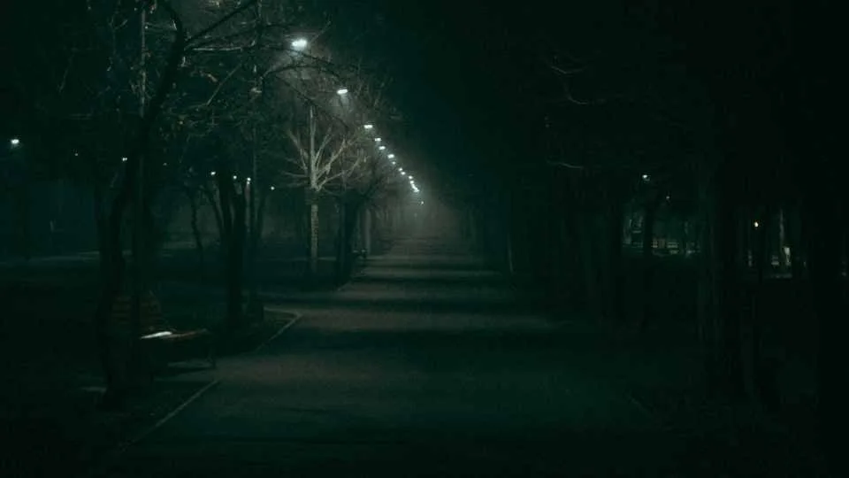 Dark road lined with trees and streetlights.