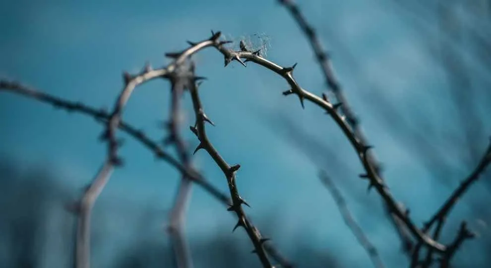 Coils of barbed wire against a blue background.