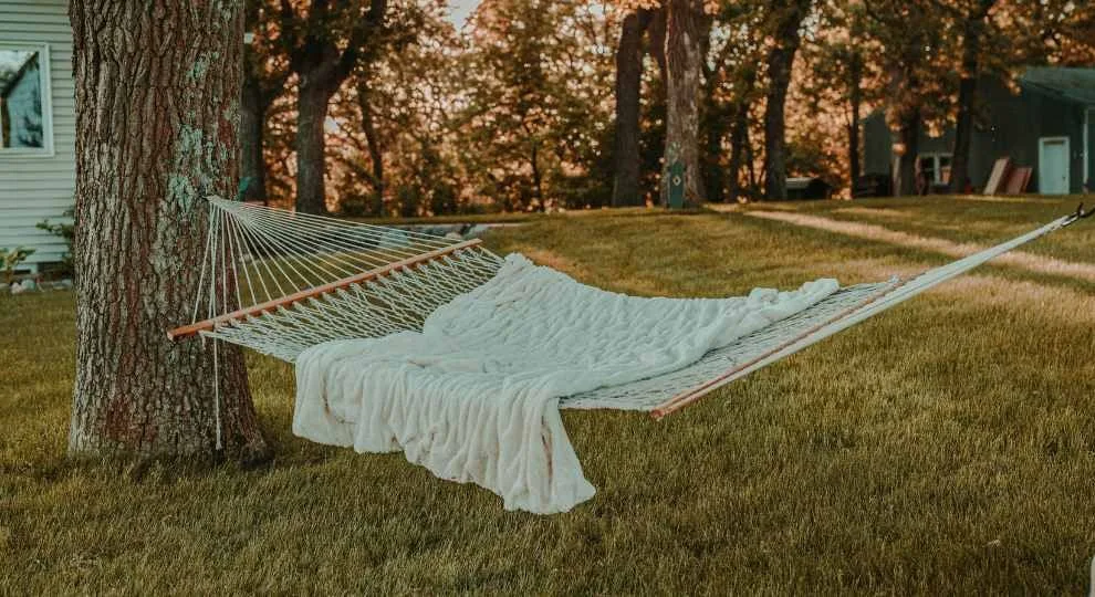 Hammock with a white blanket hanging between trees.