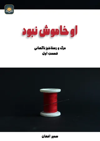 He Was Not Silent! cover
